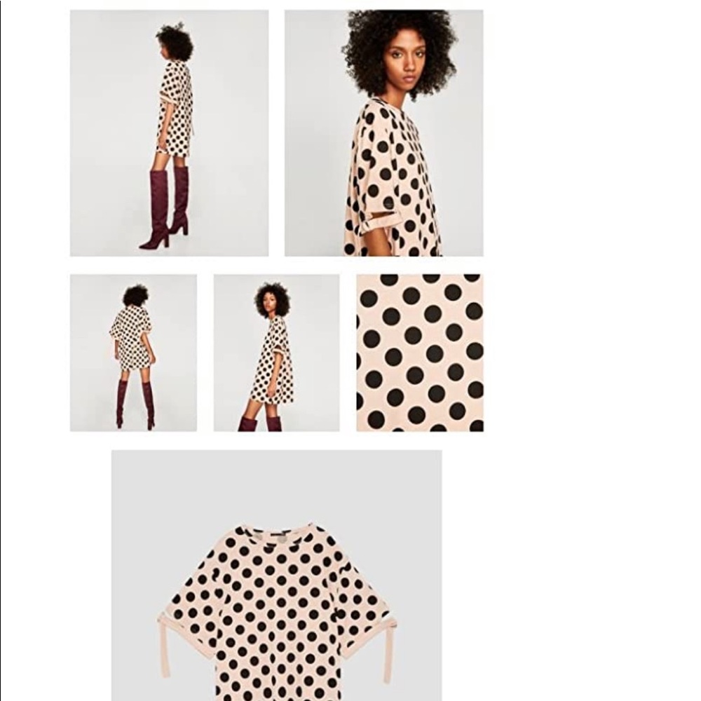 Zara Polka Dot Dress